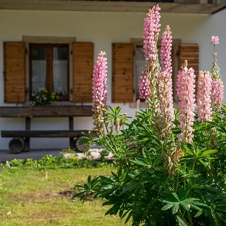 La Gerla Dolomiti Guest house *