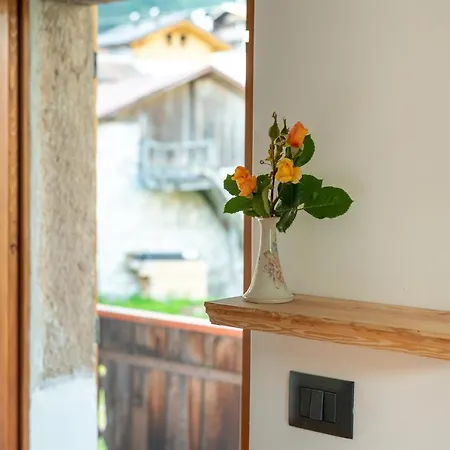 Guest house La Gerla Dolomiti